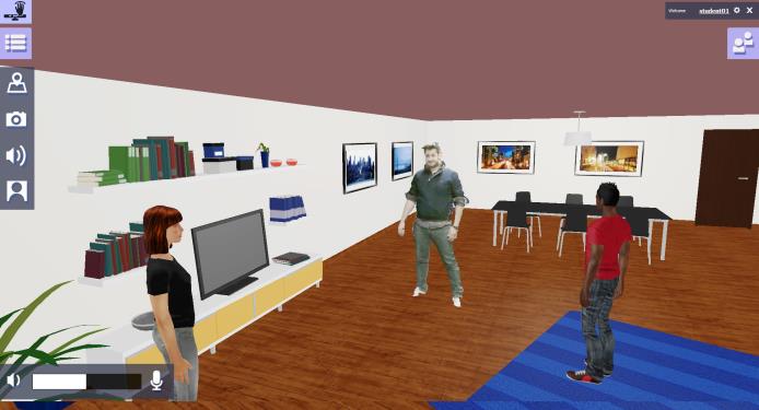 A Methodological Approach to User Evaluation and Assessment of a Virtual Environment Hangout-Image