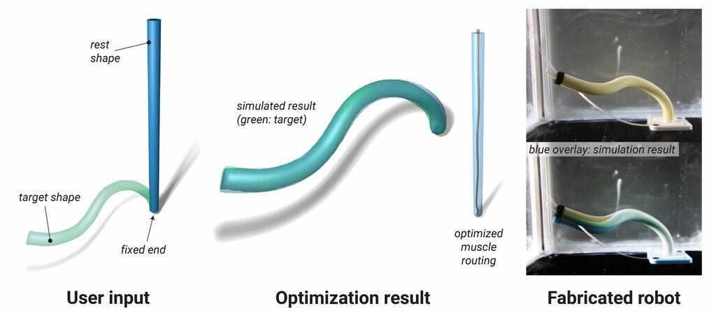 Automated Routing of Muscle Fibers for Soft Robots – Disney Research