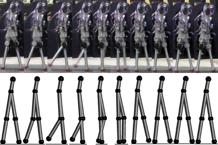 Comparing Foot Placement Strategies for Planar Bipedal Walking-Image