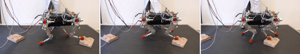Control of Dynamic Gaits for a Quadrupedal Robot-Image