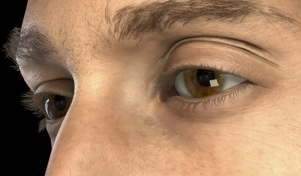 Detailed Spatio-Temporal Reconstruction of Eyelids-Image