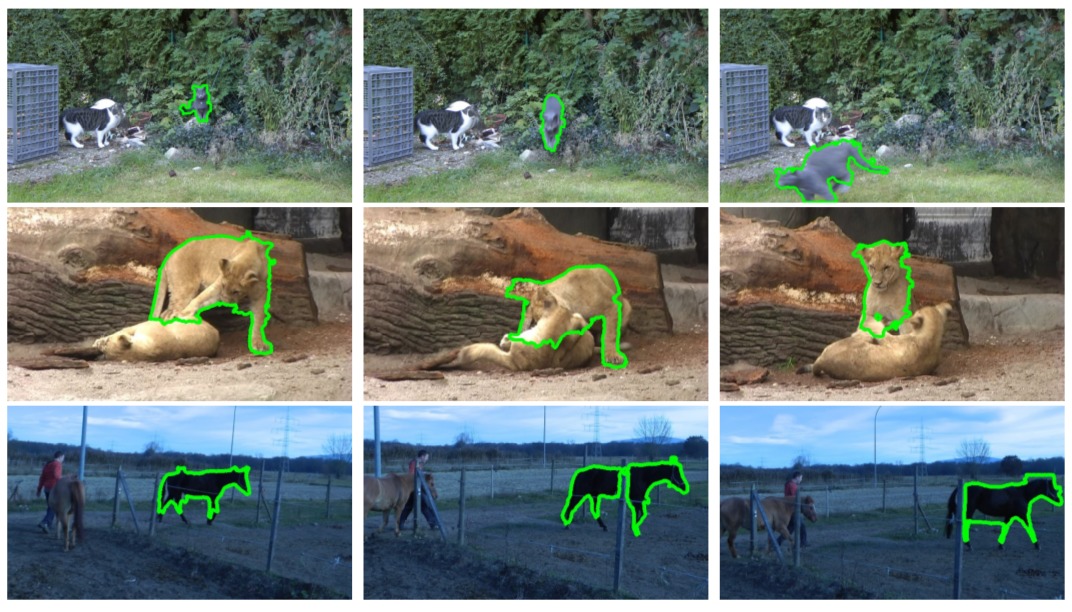 Fully Connected Object Proposals For Video Segmentation-Image