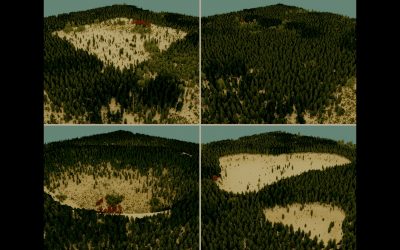 Guided Ecological Simulation for Artistic Editing of Plant Distributions in Natural Scenes-Image