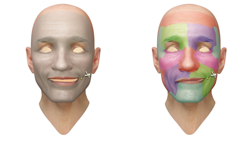 Interactive Region-Based Linear 3D Face Models-Image