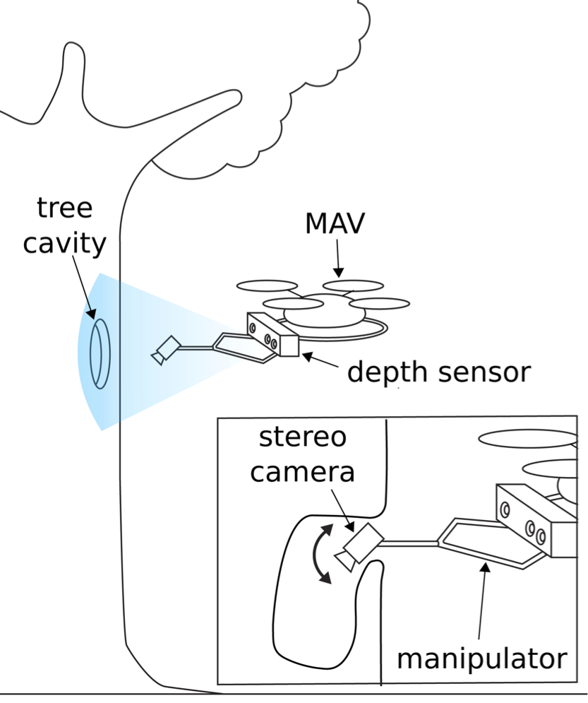 tree-cavity-inspection-using-aerial-robots-image