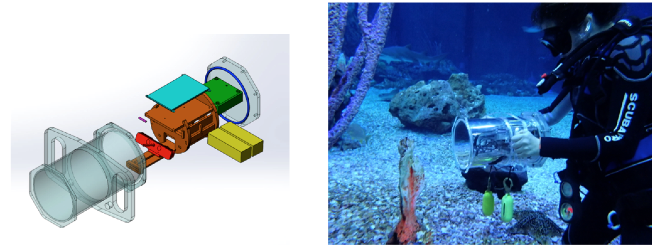 Underwater 3D Capture using a Low-Cost Commercial Depth Camera-Image